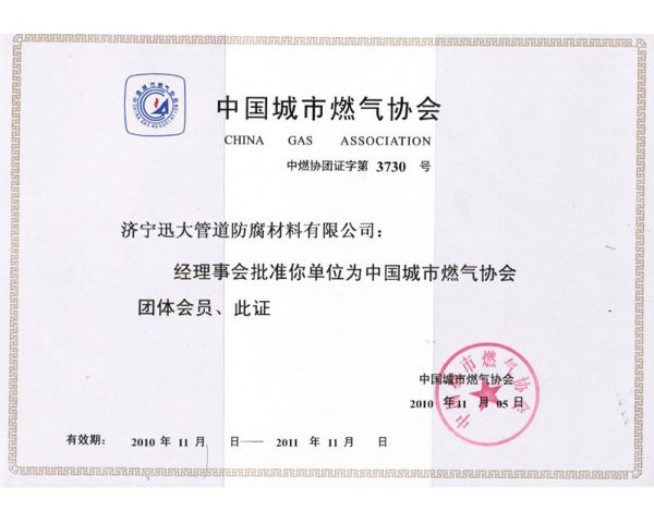 中國城市燃氣協(xié)會(huì )(圖1)